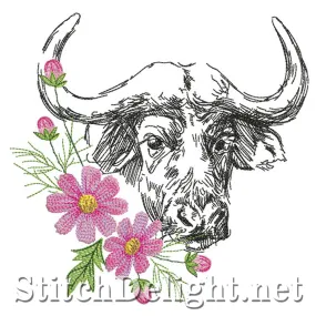 SDS0752 Cosmos Buffalo