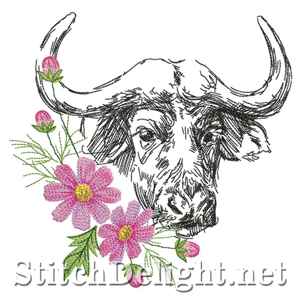 SDS0752 Cosmos Buffalo